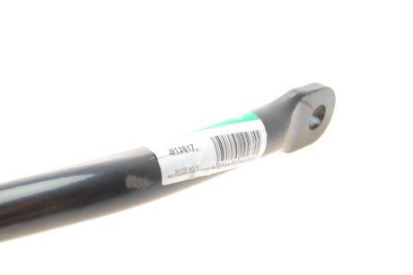 Стабілізатор поперечної стійкості borsehung B12617