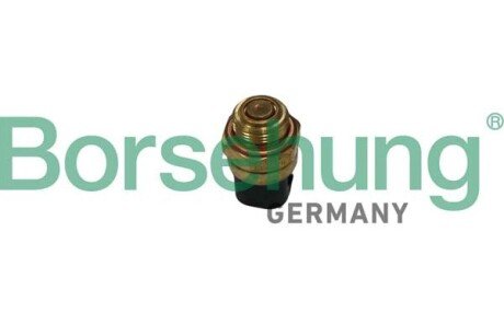 Термовимикач(ОЕ) borsehung B13130 на Фольксваген Кадди 2