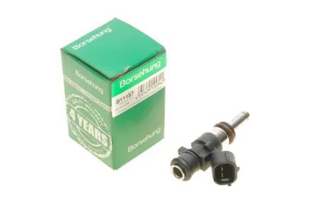 Паливна форсунка Borsehung B11157