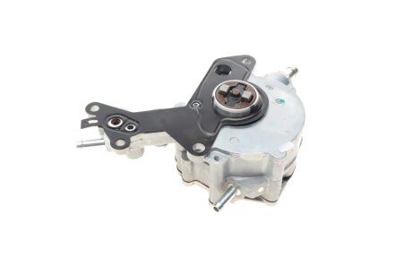 Вакуумний насос borsehung B14919