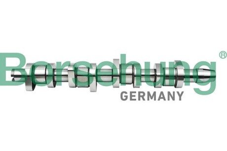 Вал розподільчий (OE) borsehung B17861 на Фольксваген Бора