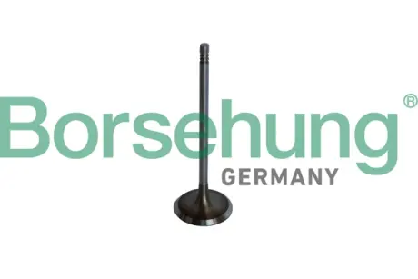 Впускний клапан Borsehung B10325