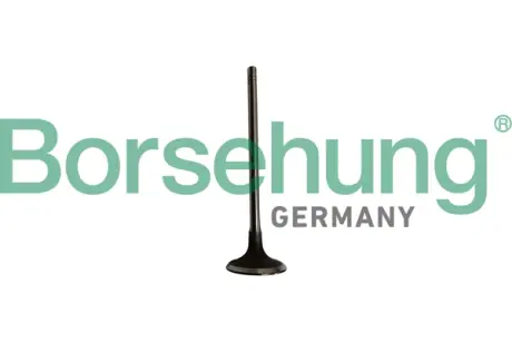 Впускний клапан Borsehung B10334