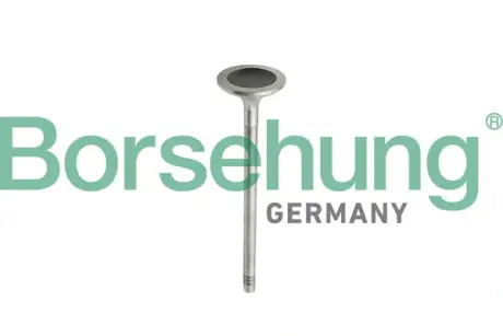 Впускний клапан Borsehung B10343