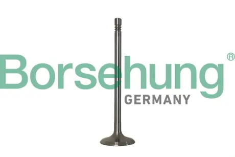 Впускний клапан Borsehung B10347
