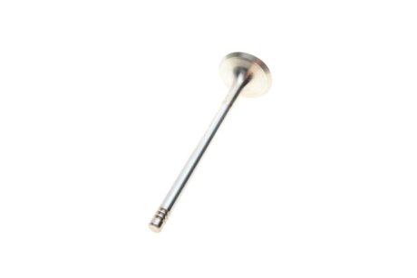 Впускний клапан borsehung B18636