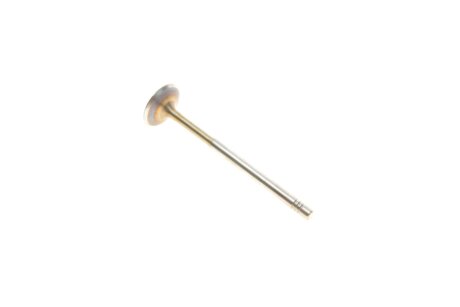 Впускной клапан borsehung B19025