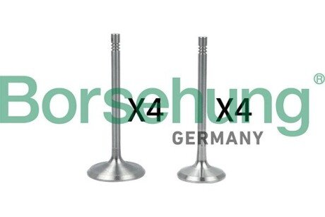 Выпускной клапан borsehung B18146 на Ауди А3 8l