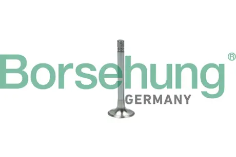 Випускний клапан Borsehung B18999