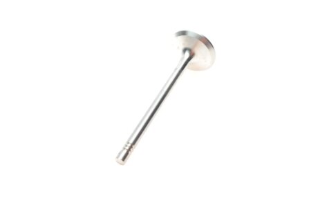 Выпускной клапан borsehung B19001