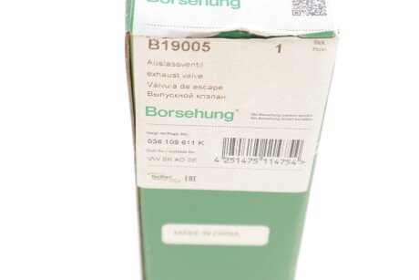 Выпускной клапан borsehung B19005