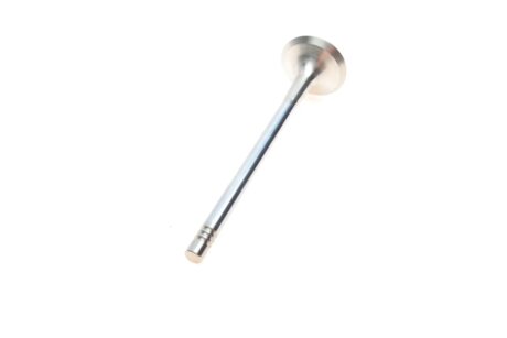 Выпускной клапан borsehung B19008