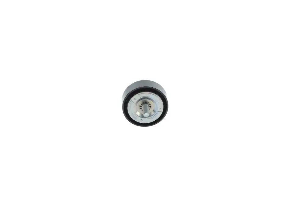 BOSCH DB Ролик натяжний C-CLASS (W205) 18- bosch 1987600035