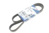 BOSCH FORD Ремінь П-клиновий 6EPK1249 FOCUS II 2.0 05- bosch 1987946173