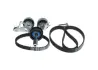 Rozrząd kpl. (pasek + rolka) pasuje do: AUDI A2 SEAT ALTEA, ALTEA XL, AROSA, CORDOBA, CORDOBA VARIO, IBIZA II, IBIZA III, IBIZA IV, IBIZA IV SC, IBIZA IV ST, INCA, LEON 1.4/1.4LPG/1.6 04.96-05.15 Bosch 1987946728 (фото 4)