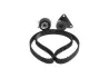 BOSCH ремені ГРМ + ролики натягу RENAULT 2,0 -01. bosch 1987946760