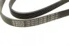 6PK1520 Ремень поликлиновый bosch 1987948425
