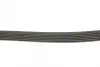 6PK1693 Ремень поликлиновый bosch 1987947951