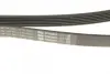6PK1693 Ремень поликлиновый bosch 1987947951