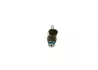 BOSCH NISSAN Клапан впорскування (форсунка) JUKE 10-, X-TRAIL III 14- bosch 026150004R
