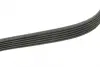 BOSCH Ремень П-клиновой 6EPK799 (Elastic) bosch 1987946144