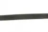 BOSCH Ремень П-клиновой 6EPK848 (Elastic) CITROEN C-Elysse 1,2VTi Bosch 1987946155 (фото 3)