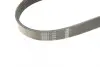 BOSCH Ремень П-клиновой 6EPK848 (Elastic) CITROEN C-Elysse 1,2VTi Bosch 1987946155 (фото 4)