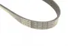 BOSCH Ремень П-клиновой 6EPK848 (Elastic) CITROEN C-Elysse 1,2VTi Bosch 1987946155 (фото 5)