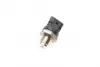 Датчик топливной рейки Ducato 2.0D-3.0D Multijet/Jumper 3.0HDI 06- (пр-во BOSCH) bosch 0 281 006 164