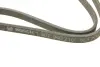 Доріжковий ремінь 6DPK1215 bosch 1 987 946 210