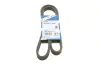Доріжковий ремінь 6DPK1215 bosch 1 987 946 210