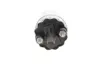 Електричний паливн.насос Renault Master, Kangoo, Megane 1.9/2.2DCi 01-03 bosch 0580464089