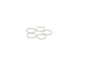 Елемент форсунки Common Rail bosch F00RJ04685