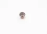 Елемент помпи високого тиску bosch 2418552005