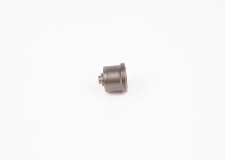 Клапан нагнетательный DAF bosch 2418552103