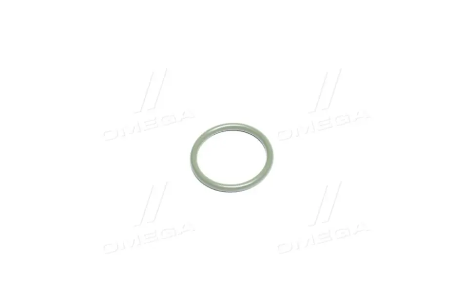 Кольцо с о-сечением Bosch F00VC38041 (фото 1)