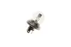 Лампа R2 24V 55/50W P45t (пр-во) Bosch 1987302421 (фото 4)