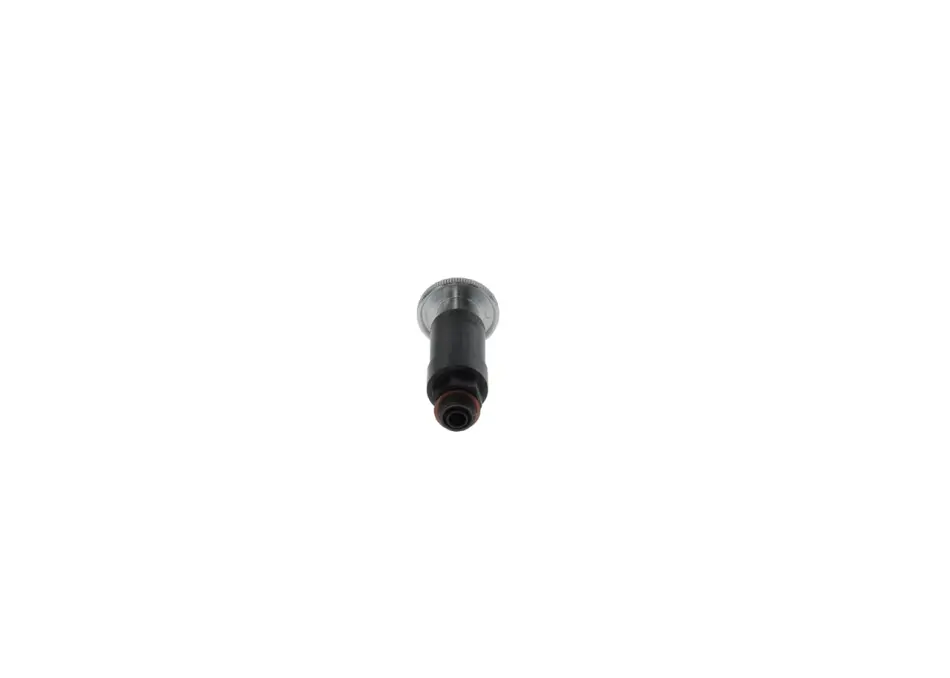 Паливопідкачуючий насос Bosch 2447010020 (фото 1)