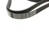 Пасок поліклиновий 6PK1538/1540 bosch 1987946099