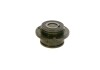 Плунжерна пара bosch F 01M 101 216