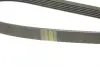 Ремень П-клиновой 6PK1623 CITROEN 3,0: Xantia, XM; VOLVO 960 3,0 bosch 1987947985