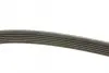 Ремень п-клиновой 6pk1880 (пр-во) bosch 1 987 946 064