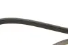 Ремень поликлин. 5PK1750 (пр-во) Bosch 1987946045 (фото 3)