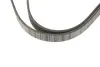 Ремень поликлин. 5PK1750 (пр-во) Bosch 1987946045 (фото 4)