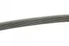 Ремень поликлин. 6PK1715 (пр-во) Bosch 1987948453 (фото 2)