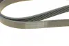 Ремень поликлин. 6PK1715 (пр-во) Bosch 1987948453 (фото 4)