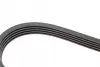 Ремень поликлиновой 5PK1225 CITROEN; OPEL 1,0/1,2; PEUGEOT; RENAULT; SKODA; TOYOTA bosch 1987947929