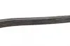 Ремень поликлиновой 5PK1815 BMW 2,5TD: E36/34/39; OPEL Omega B 2,5TD bosch 1987948482