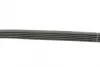 Ремень поликлиновой 5PK813 ALFA 155 1,7-2,0; BMW 2,5/3,0: E39/E46/E53; CITROEN 1,1-1,6: Berlingo, ZX bosch 1987946026