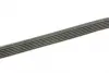 Ремень поликлиновой 6PK1650 FORD 1,6-2,0 92-01; VW 1,8 Golf II bosch 1987946002